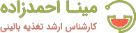 مینا احمدزاده Logo